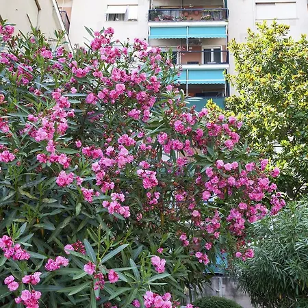 Apartment Golden Skyview From San Martino By Wonderful Italy Genua